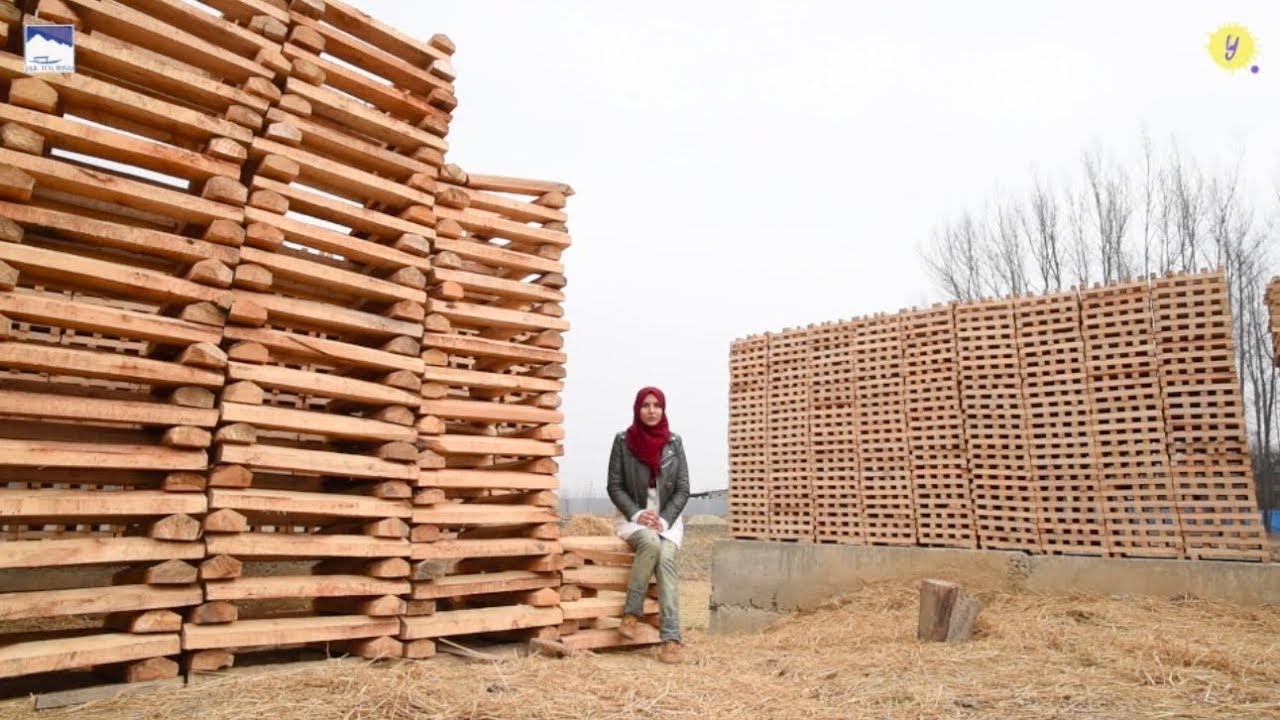 A Cricket Bat from Kashmir - An overview of all the processes involved in the making!