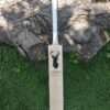 Kashmir Willow Bat - Front