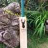 Kashmir Willow Hard Tennis Cricket Bat (Front)