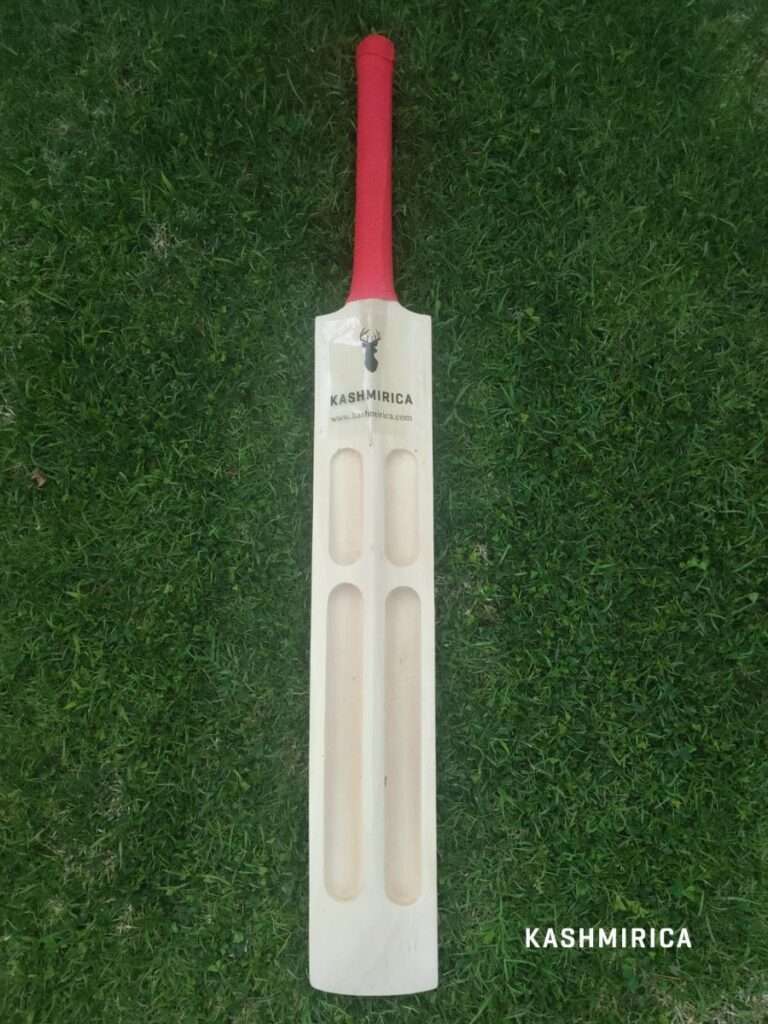 Single Blade Cricket Bat Back