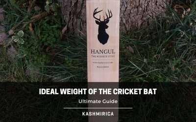 Ideal Weight of the Cricket Bat – Complete Guide