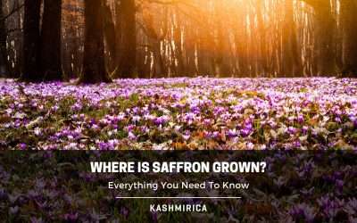 Where is Saffron Grown? Detailed Guide