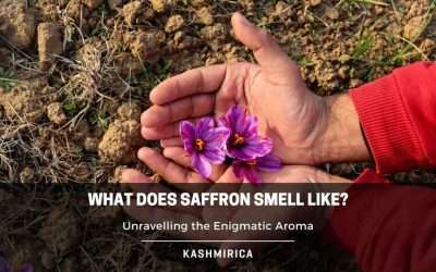 What Does Saffron Smell Like? Explained!