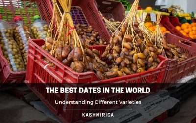 The Best Dates in the World