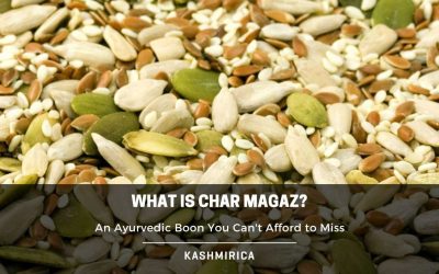 Char Magaz: Ayurvedic Boon You Can Not Miss