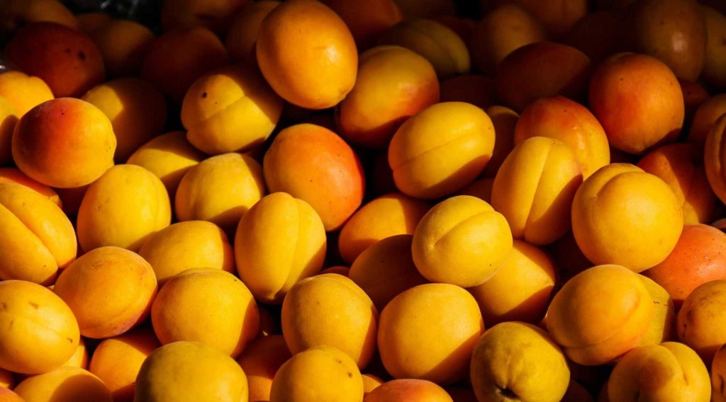 Dried Apricots during pregnancy