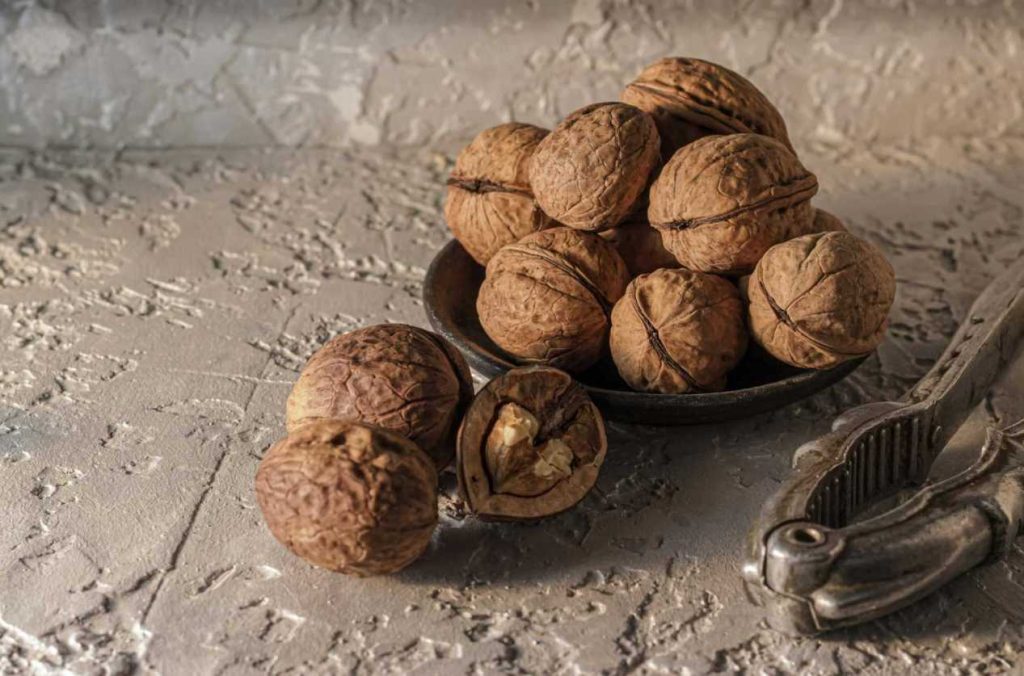 Walnuts during pregnancy