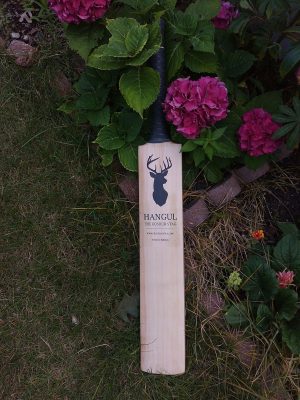 Season Bat